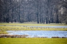 DSC_0361-EDIT.jpg