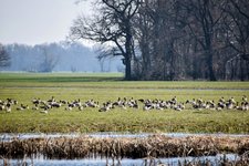 DSC_0390-EDIT.jpg