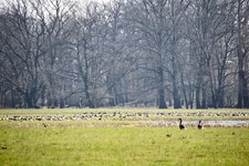 DSC_0363-EDIT.jpg