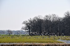 DSC_0395.JPG DSC_0395.JPG
