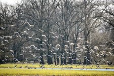 DSC_0399-EDIT.jpg DSC_0399-EDIT.jpg