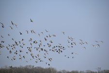 DSC_0412.JPG DSC_0412.JPG