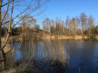 IMG_7464.JPG