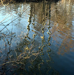 IMG_7467.JPG
