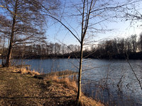 IMG_7468.JPG