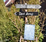DSC_0229.JPG