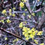 IMG_7490.JPG