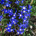 IMG_7491.JPG