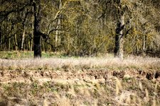 DSC_0214-EDIT.jpg DSC_0214-EDIT.jpg