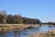 DSC_0216.JPG DSC_0216.JPG