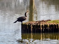 DSC_0094-EDIT.jpg