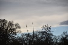 DSC_0131.JPG DSC_0131.JPG
