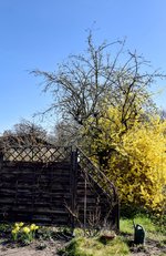 DSC_0005-EDIT.jpg