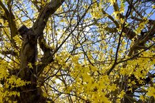 DSC_0020-EDIT.jpg