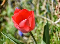 DSC_0029-EDIT.jpg