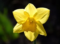 DSC_0031.JPG