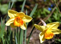 DSC_0032.JPG