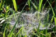 DSC_0096.JPG