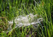 DSC_0109.JPG