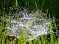 DSC_0112.JPG