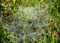 DSC_0108.JPG