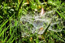 DSC_0114-EDIT.jpg