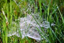 DSC_0105-EDIT.jpg