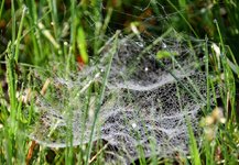 DSC_0097.JPG