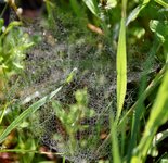 DSC_0103.JPG