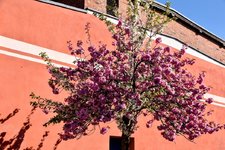 DSC_0027-EDIT.jpg