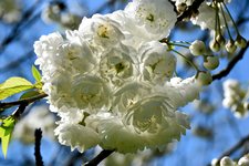 DSC_0169-EDIT.jpg