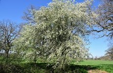 DSC_0192.JPG