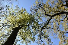 DSC_0120.JPG
