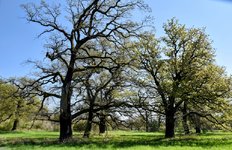 DSC_0206-EDIT.jpg