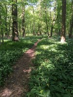 IMG_7564.JPG