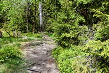 DSC_0090-EDIT.jpg