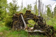 DSC_0073-EDIT.jpg