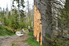 DSC_0192.JPG