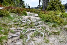 DSC_0124-EDIT.jpg