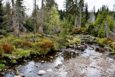 DSC_0195-EDIT.jpg