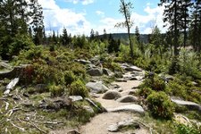 DSC_0245.JPG