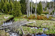 DSC_0183-EDIT.jpg