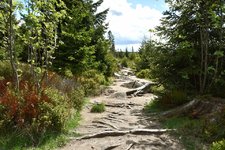 DSC_0239.JPG