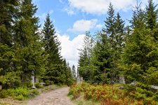 DSC_0136-EDIT.jpg