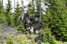 DSC_0215-EDIT.jpg