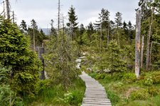 DSC_0009-EDIT.jpg