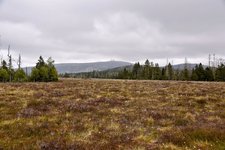 DSC_0068-EDIT.jpg