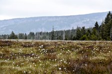 DSC_0058-EDIT.jpg