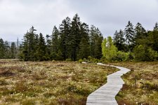 DSC_0041-EDIT.jpg