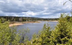 DSC_0248-EDIT.jpg